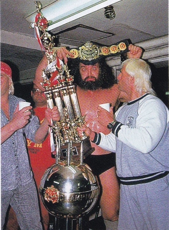 三沢光晴三冠ヘビー級&GHCヘビー級チャンピオンカード☆ 三冠ヘビー級 チャンピオンベルト ストラップ 全日本プロレス インター